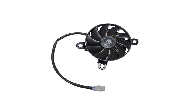 FAN (RZ125)